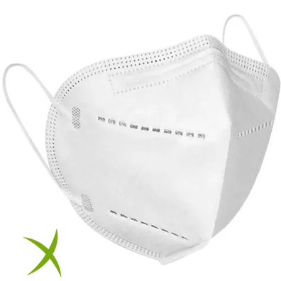 Parmask Medical Mascherina Bianca FFP2 10 Pezzi