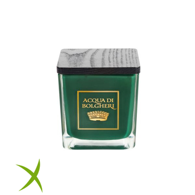 Acqua di Bolgheri Candela Profumata il Cipresso Nobile 200 g